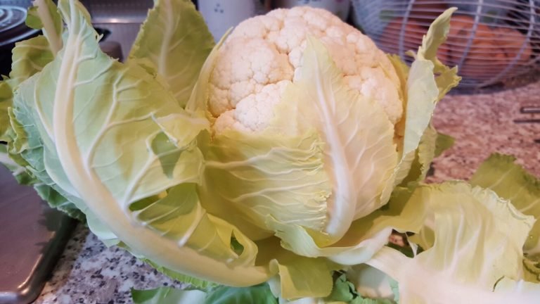 Beautiful cauliflower on kitchen surface